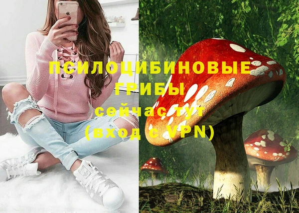 спиды Алексин