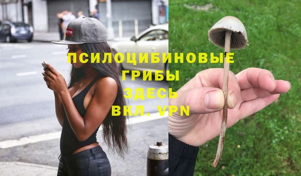 apvp Алексеевка