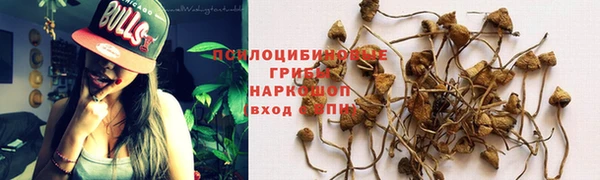 кристаллы Алзамай