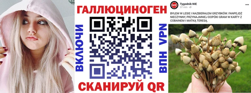 Галлюциногенные грибы мицелий Лодейное Поле